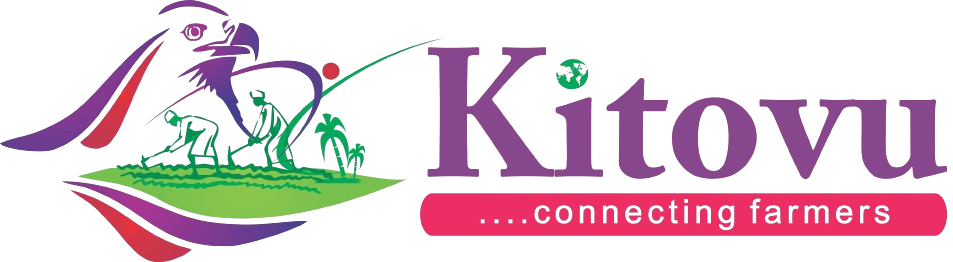 Kitovu